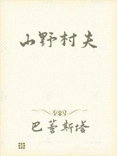 山野村夫封面