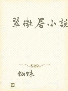 翠微居小说封面
