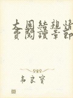 大团结亲情会免费阅读章节封面