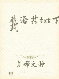 藏海花txt下载
