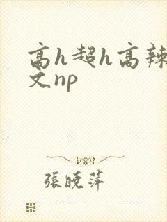 高h超h高辣h文np封面