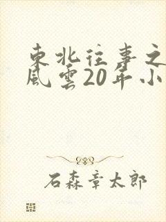 东北往事之黑道风云20年小说封面