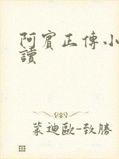 阿宾正传小说在读