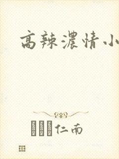 高辣浓情小说封面