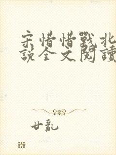 宋惜惜战北望小说全文阅读封面