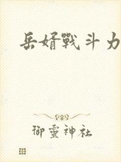 岳婿战斗力封面