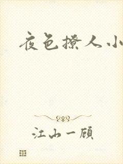 夜色撩人小说