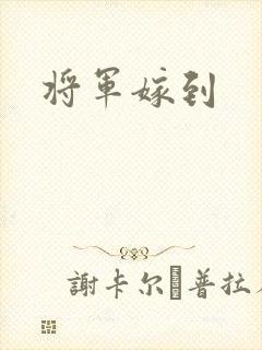 将军嫁到
