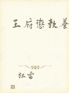 王府惩教养日常