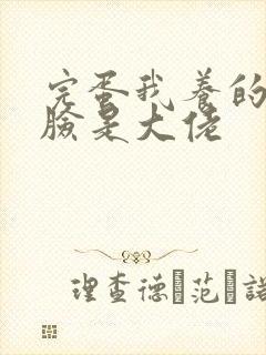完蛋我养的小白脸是大佬封面