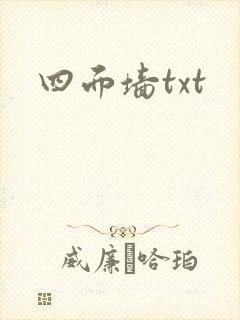 四面墙txt