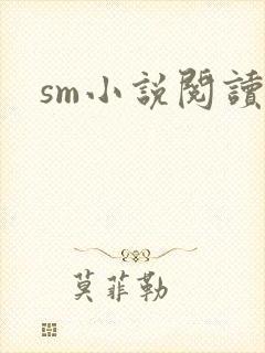 sm小说阅读封面