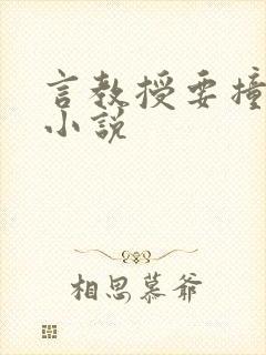 言教授要撞坏了小说封面