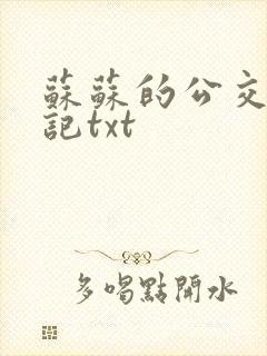 苏苏的公交车日记txt封面