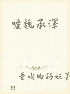 嘘魏承泽封面
