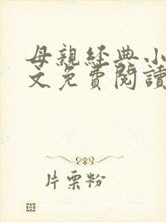 母亲经典小说全文免费阅读封面
