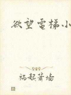 欲望电梯小说