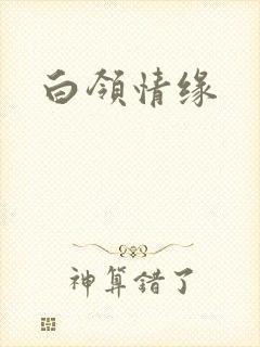 白领情缘