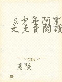 《少年阿宾》全文免费阅读封面