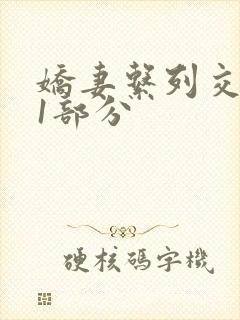 娇妻系列交换11部分