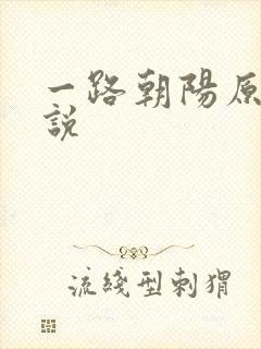 一路朝阳原著小说