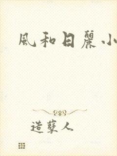 风和日丽小说