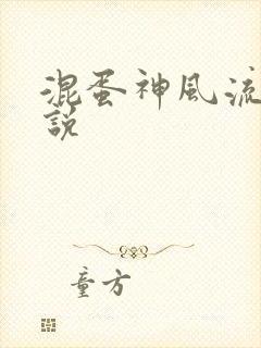 混蛋神风流史小说