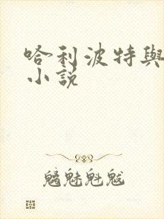 哈利波特与密室小说