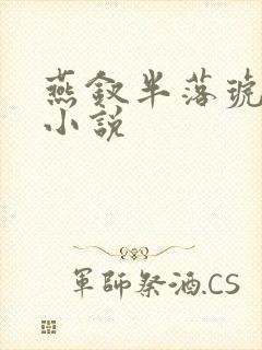 燕钗半落琥珀糖小说