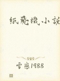 纸飞机小说