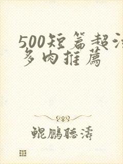 500短篇超污多肉推荐