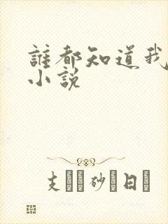 谁都知道我爱你小说