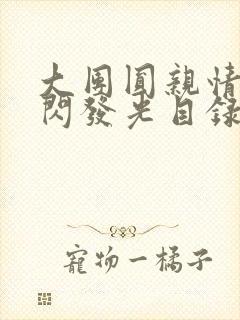 大团圆亲情会闪闪发光目录封面