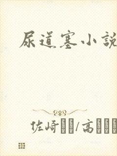 尿道塞小说