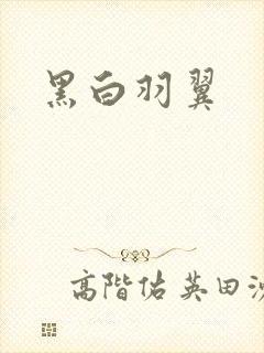 黑白羽翼