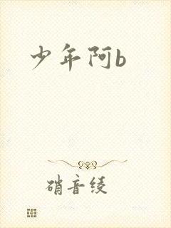 少年阿b