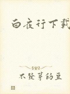 白夜行下载