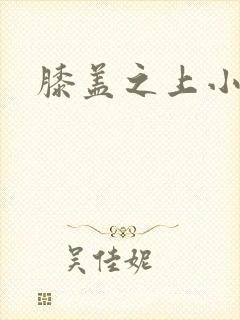 膝盖之上小说