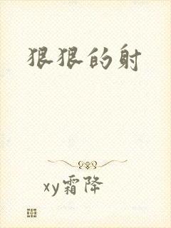 狠狠的射