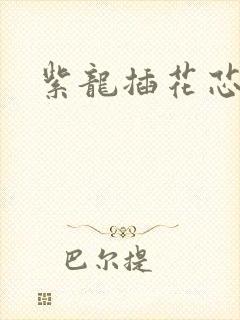 紫龙插花芯方正
