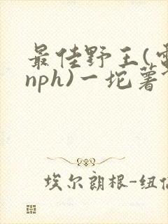 最佳野王(电竞nph)一坨薯饼