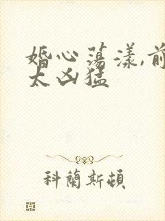 婚心荡漾,前夫太凶猛