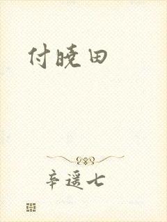 付晓田