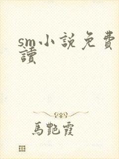 sm小说免费阅读