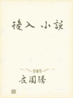 后入 小说