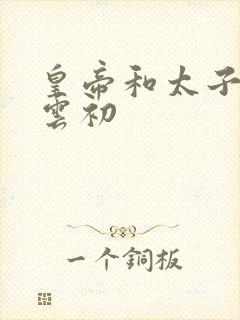 皇帝和太子妃h云初封面