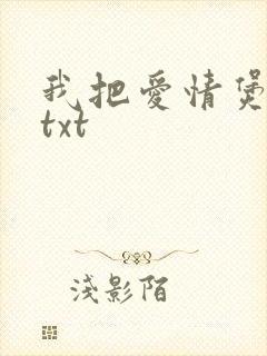我把爱情煲成汤txt