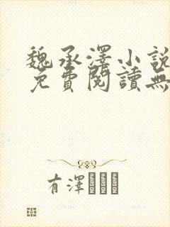 魏承泽小说全文免费阅读无弹窗笔趣