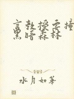 言教授要撞坏了黑暗森林