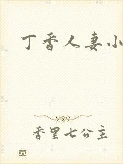 丁香人妻小说